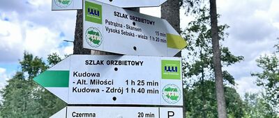 Pstrążna