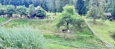 Pstrążna, skansen
