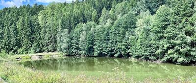 Pstrążna, stawy