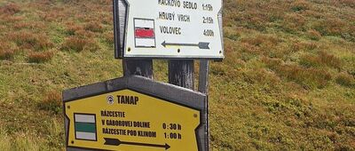 Siwy Zwornik