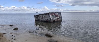 Gdynia Orłowo, nieczynne sanatorium "Zdrowie" ↔ Rezerwat Kępa Redłowska, wejście nr 14