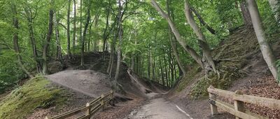 Rezerwat Kępa Redłowska, wejście nr 13