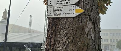 Dynów