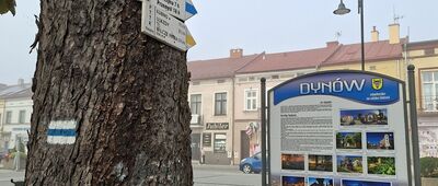Dynów