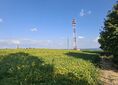 Rozejście szlaków ↔ Patryja