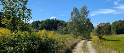 Trzcińsko, PKP ↔ Radomierz