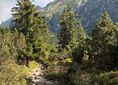 Štrbské Pleso, rázcestie pred Heliosom ↔ Vodospád Skok [Štrbské Pleso - Bystrá Lávka - początek szlaku]