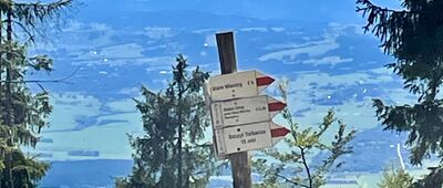 Schronisko PTTK Turbacz [Schronisko na Turbaczu - widok na Tatry]