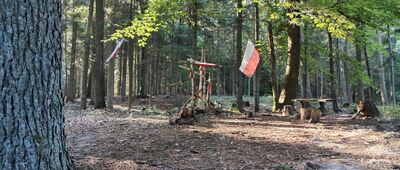 Miejsce obozu AK [Miejsce obozu AK (sierpień 2026)]