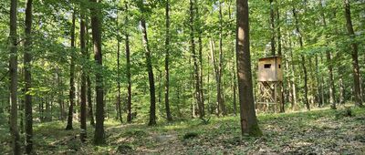 Rozejście szlaków ↔ Zwierzyniec