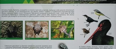 Skrzyżowanie pod Zamczyskiem