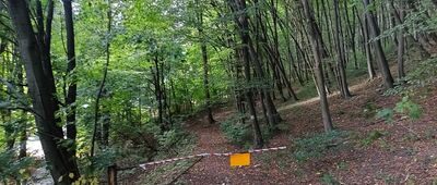 Dolina Racławki, ścieżka do potoku Szklarka ↔ Dubie, Za Piłą