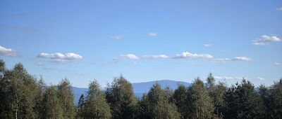 Leskowiec [Widok z Leskowca w kierunku Babiej Góry]