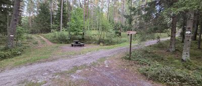 Rozejście szlaków żółty / czarny