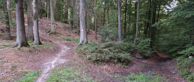 Rozejście szlaków czerwony / żółty