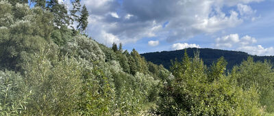 Rajcza, ścieżka rowerowa ↔ Rajcza, Park