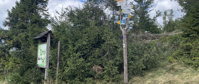 Hala Redykalna