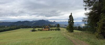 Cisówka