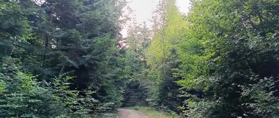 Rozejście szlaków