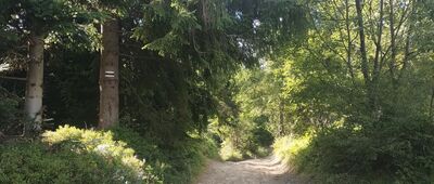 Bukowina Obidowska [Czarnym szlakiem w dół]