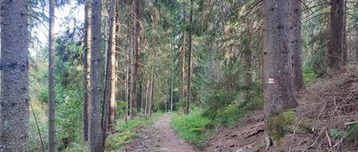 Bystrá ↔ Rázcestie pod Bystrou