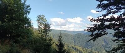 Červenohorské sedlo, odchod Švýcárna ↔ Skalní tabule