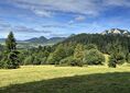 Przełęcz pod Klasztorną Górą ↔ Vápenník, rázc. [Pieniny znad Przełęczy nad Klasztorną Górą (Sedlo Cerla)]