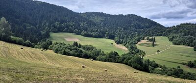Leśnica, rozejście szlaków ↔ Rozejście szlaków [Z zielonego szlaku do Leśnicy]