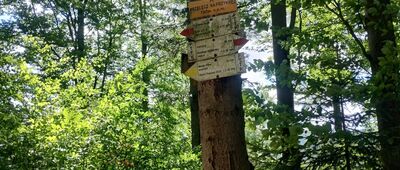 Przełęcz Na Przykrej [Przełęcz na Przykrej]