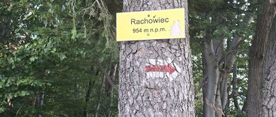 Rachowiec