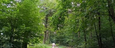 Rezerwat Boże Oko ↔ Lichynia, Granica
