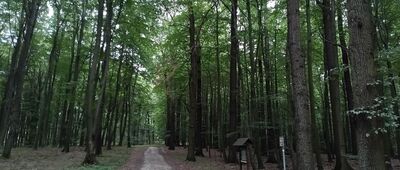 Rozejście szlaków