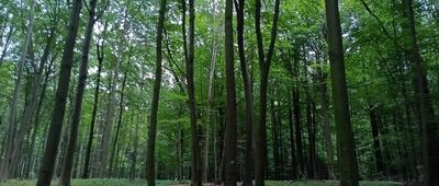 Kaplica "Boże Oko"