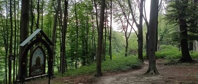 Rozejście szlaków ↔ Kaplica "Boże Oko"