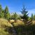 Sławkowski ukazuje się co jakiś czas