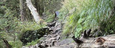 Ostravice, rozc. ↔ Smrk, sedlo [Podejście pod Mały Smrk]