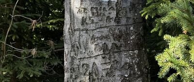 Czupel