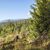 Tatry Zachodnie