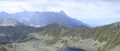 Świnica