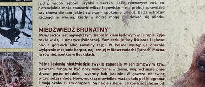 Przełęcz Buczynka