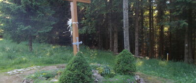 Sedlo pod Hnilickou Kýćerou