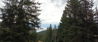 Pod Muńczolikiem