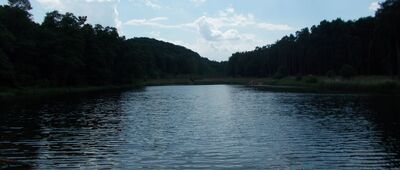 Grota Niedźwiedzia ↔ Parkowe, leśniczówka