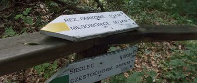 Skrzyżowanie szlaków