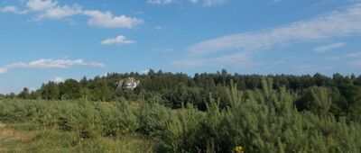 Zaborze, Skrobaczowizna ↔ Suliszowice