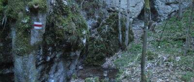 Ludrovská dolina, Pamätnik SNP ↔ Salatin, rázc.