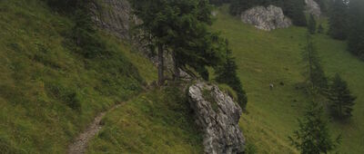 Demänovská jaskyňa Slobody ↔ Sedlo Machnaté