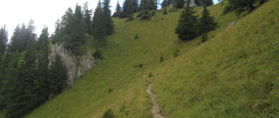 Demänovská jaskyňa Slobody ↔ Sedlo Machnaté