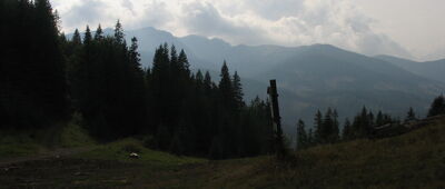 Svidovské sedlo