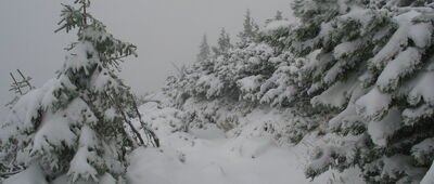 Kološňa ↔ Rázcetnik na Krúpove sedlo